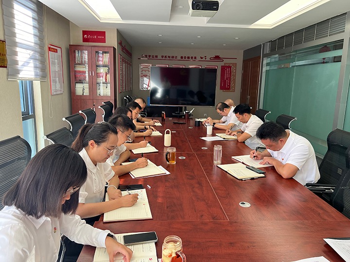 008PG国际地产党支部开展“凝心聚力促改革，，，，，立足岗位做贡献”主题党日活动